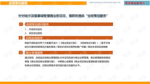 智慧商业街招商运营及物业管理综合解决方案.ppt