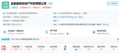 安徽两家房企 爆雷