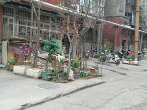 轴承厂物业公司十五号小区物业管理功能缺失