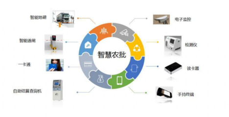 杭州桐庐农副产品批发市场 精细化管理赋能市场繁荣与食品安全